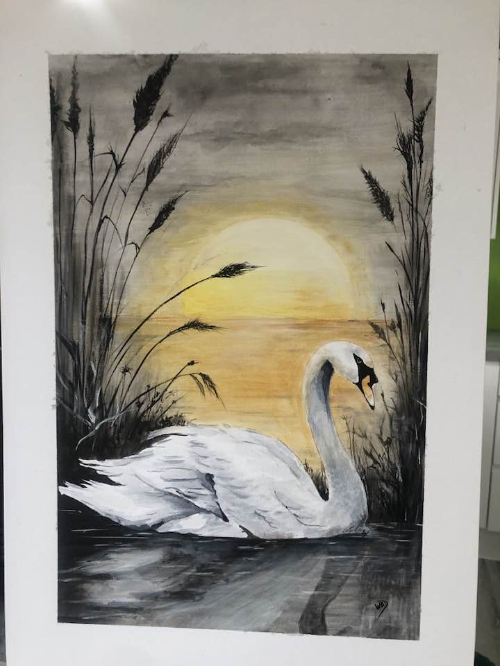 Swans at Sunset