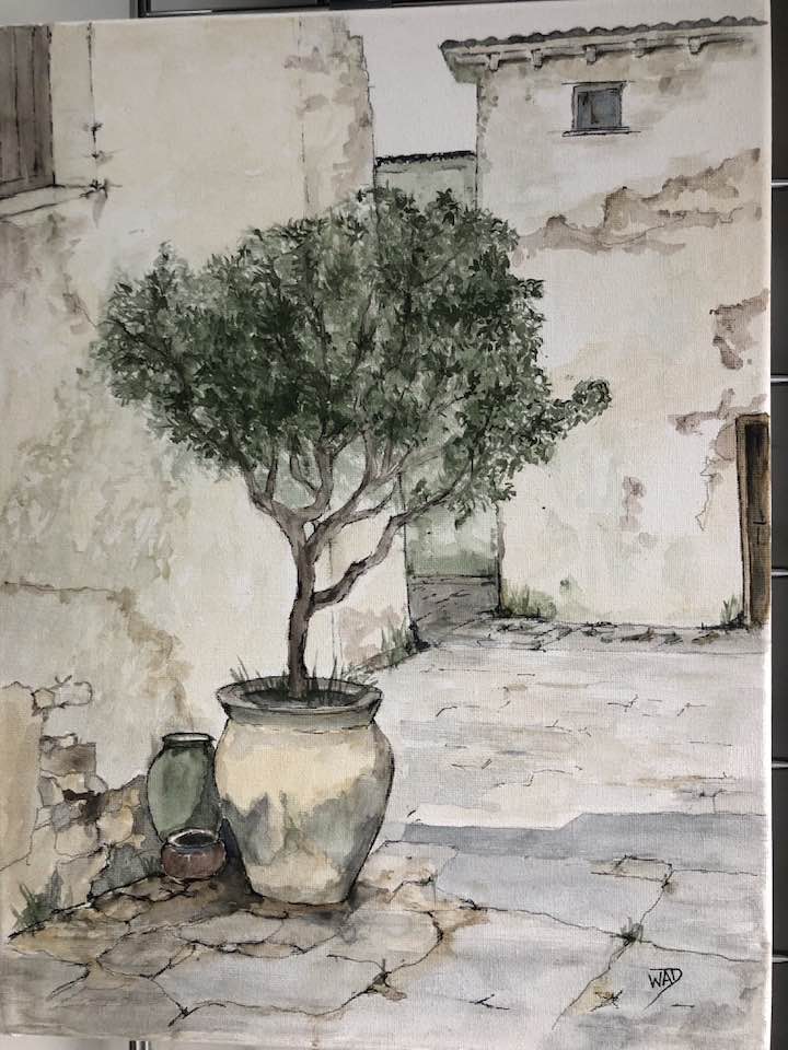 Mediterranean Olive Tree