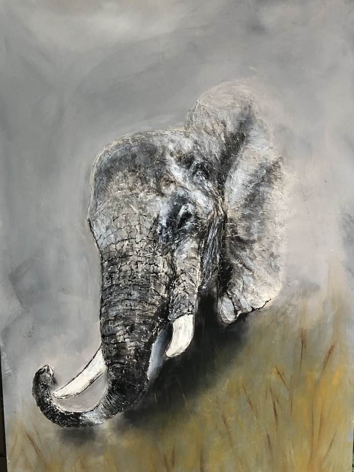 Elephant