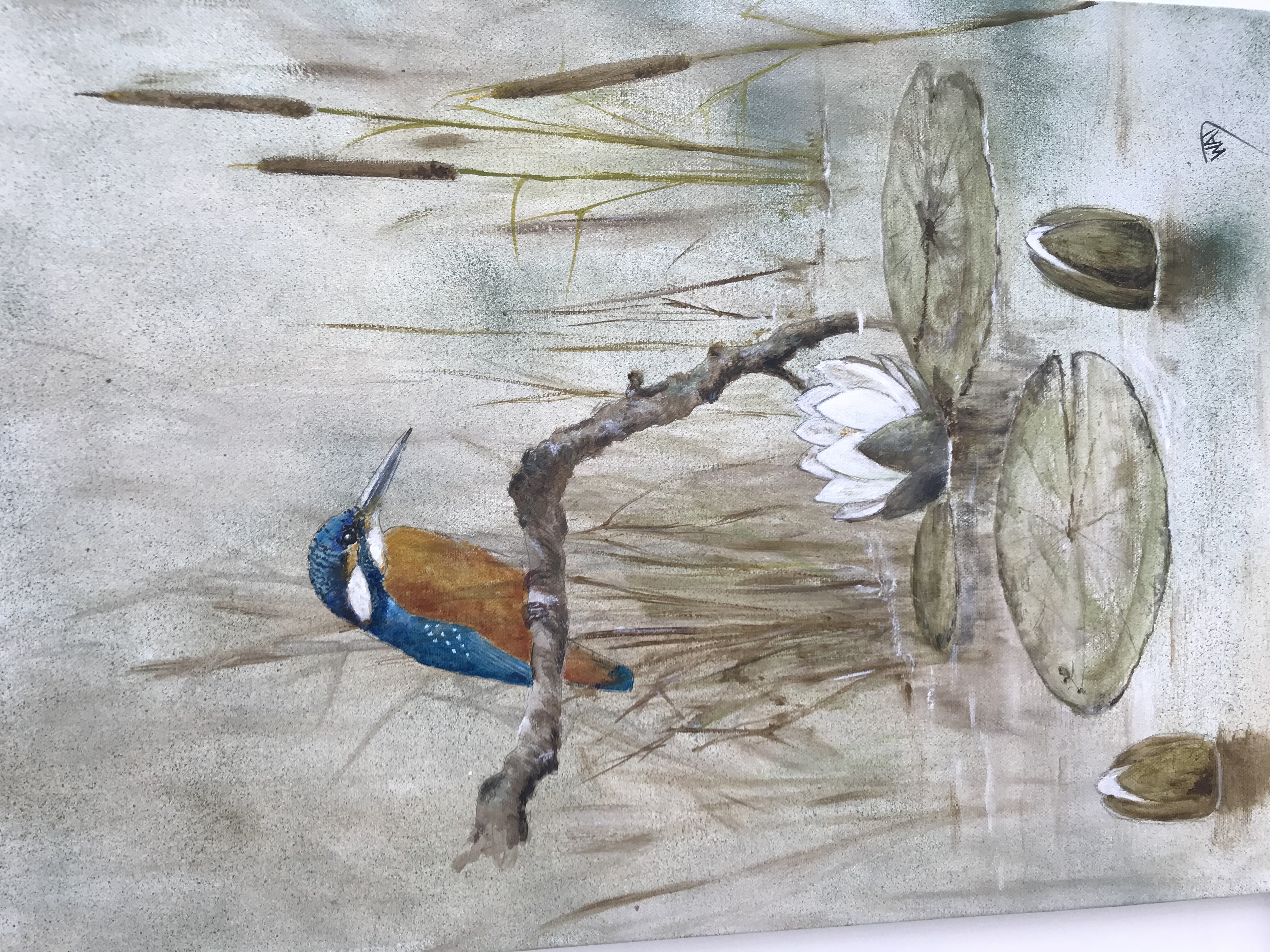 Kingfisher looking for prey