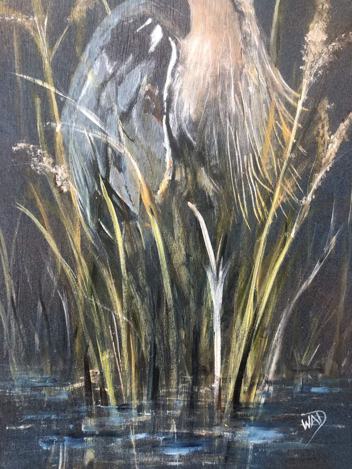 Heron in the reeds, view 2